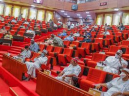 Senate orders comprehensive investigation into Ebonyi killings